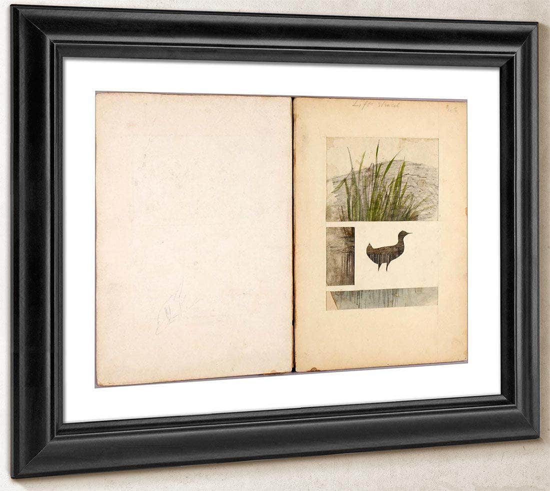 Rail, Study Folder For Book Concealing Coloration In The Animal Kingdom By Abbott Handerson Thayer Fine Art Print