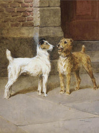 Ready By Arthur Wardle Fine Art Print