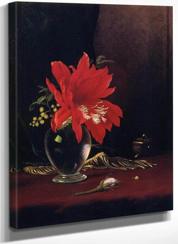 Red Flower In A Vase By Martin Johnson Heade Fine Art Print