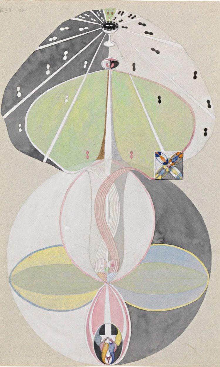 Ree Of Knowledge No. 5 By Hilma Af Klint Fine Art Print
