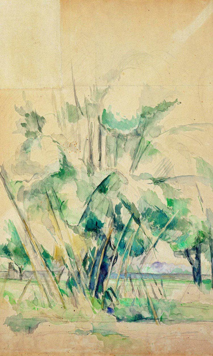 Reeds At Jas De Bouffan By Cezanne Paul Fine Art Print
