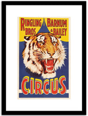Ringling Bros Barnum & Bailey  Vintage Circus Poster Fine Art Print