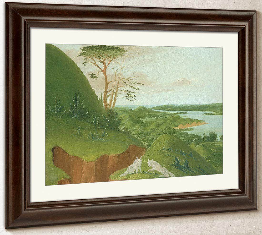 River Bluffs With White Wolves In The Foreground, Upper Missouri By George Catlin Fine Art Print