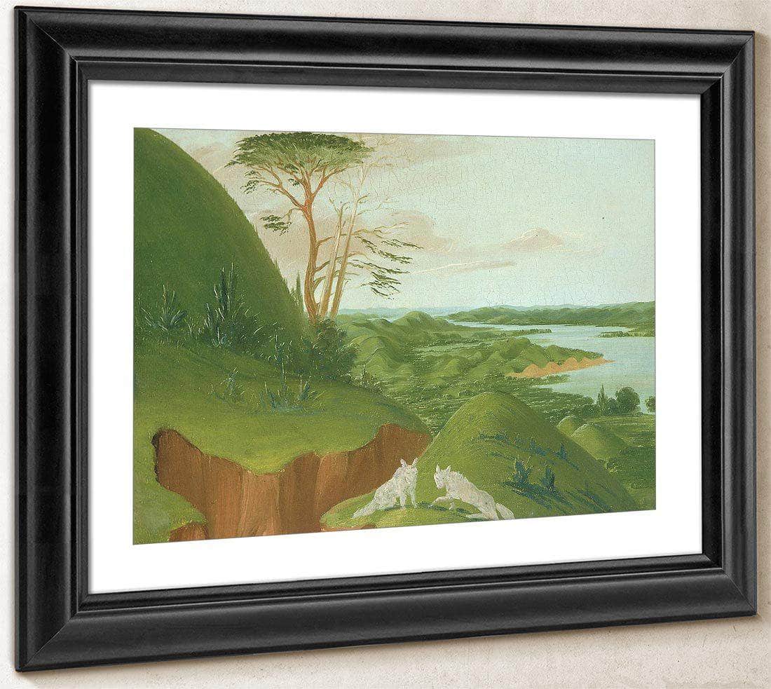 River Bluffs With White Wolves In The Foreground, Upper Missouri By George Catlin Fine Art Print