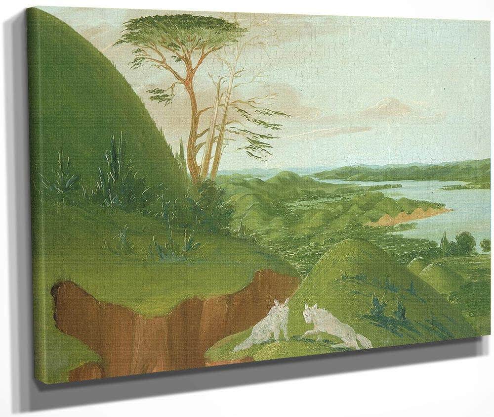 River Bluffs With White Wolves In The Foreground, Upper Missouri By George Catlin Fine Art Print