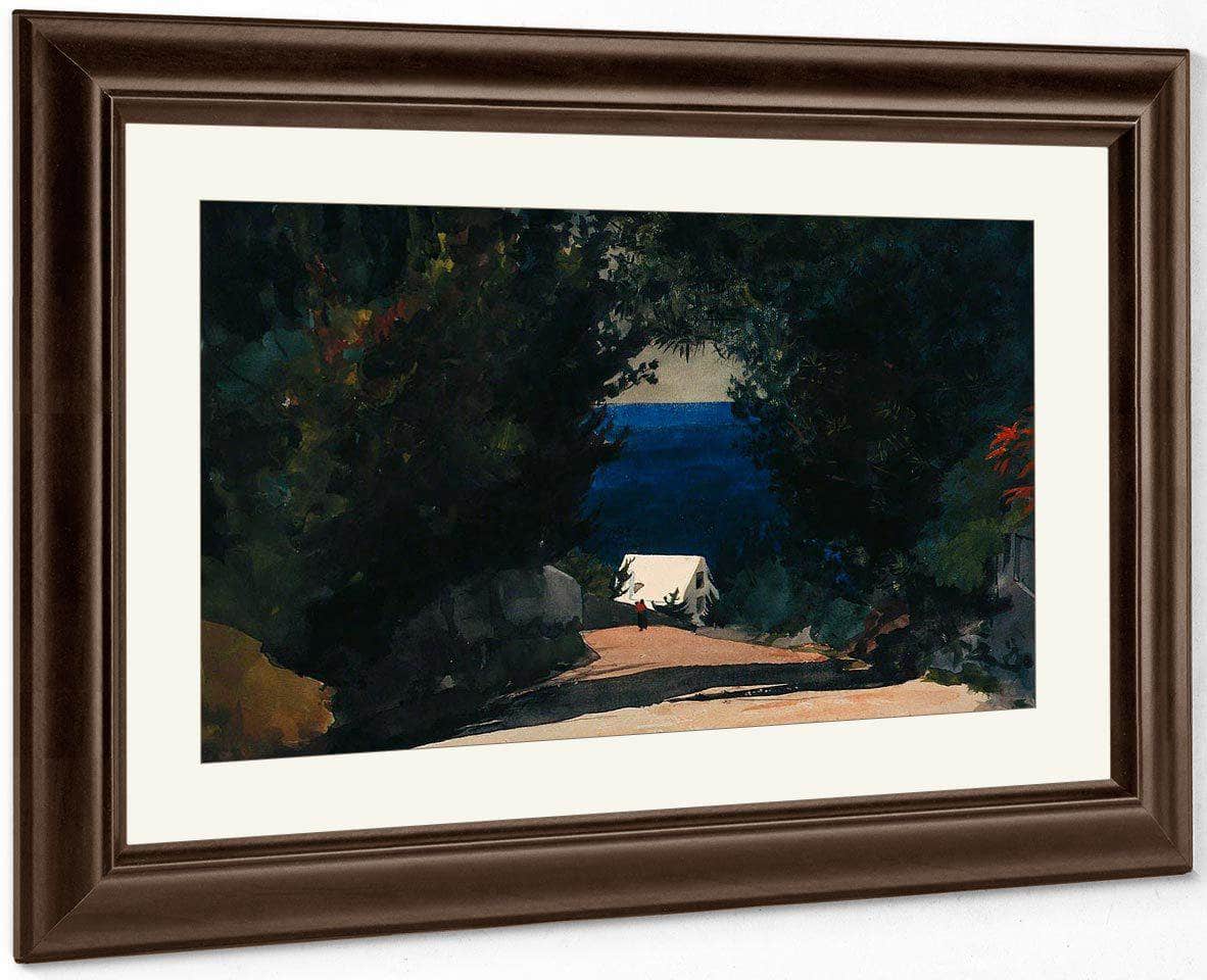 Road In Bermuda By Winslow Homer Fine Art Print