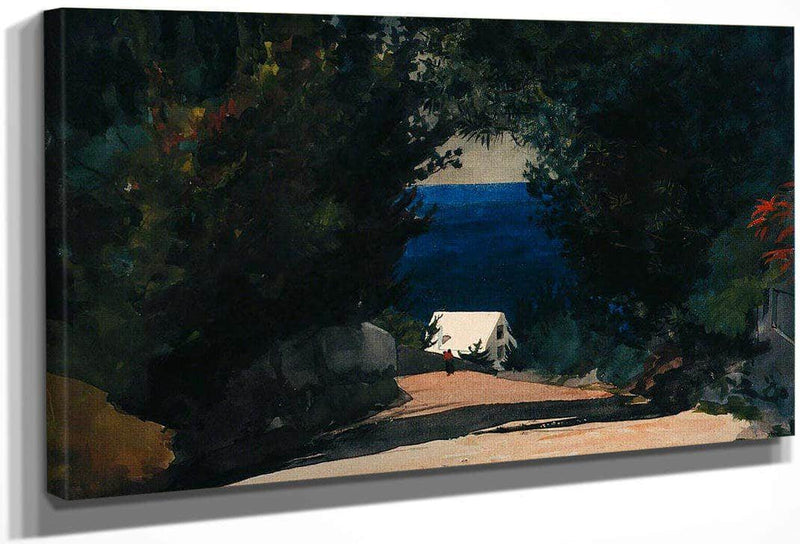 Road In Bermuda By Winslow Homer Fine Art Print