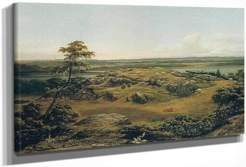 Rocks In New England By Martin Johnson Heade Fine Art Print