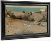 Rocky Coast And Gulls 1869 By Winslow Homer Fine Art Print