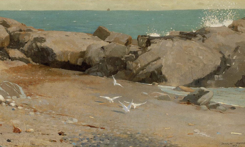 Rocky Coast And Gulls 1869 By Winslow Homer Fine Art Print