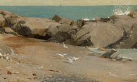Rocky Coast And Gulls 1869 By Winslow Homer Fine Art Print