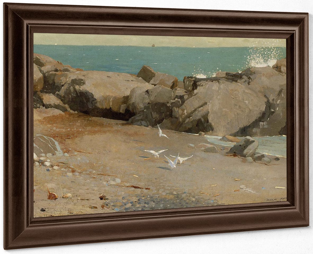 Rocky Coast And Gulls 1869 By Winslow Homer Fine Art Print