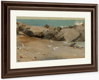 Rocky Coast And Gulls 1869 By Winslow Homer Fine Art Print