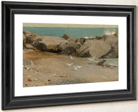 Rocky Coast And Gulls 1869 By Winslow Homer Fine Art Print