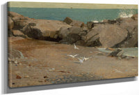 Rocky Coast And Gulls 1869 By Winslow Homer Fine Art Print