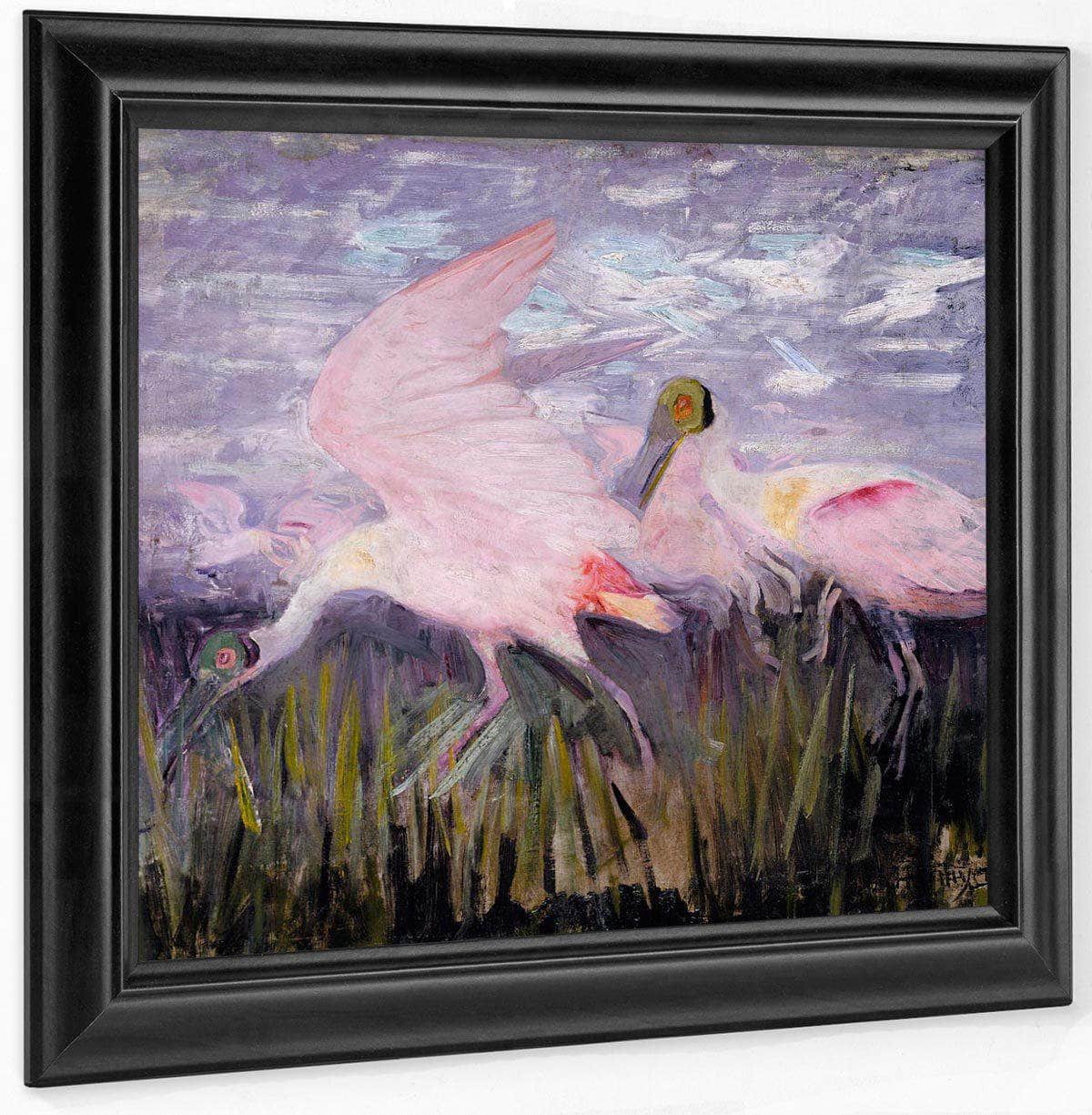 Roseate Spoonbills, Study For Book Concealing Coloration In The Animal Kingdom By Abbott Handerson Thayer Fine Art Print