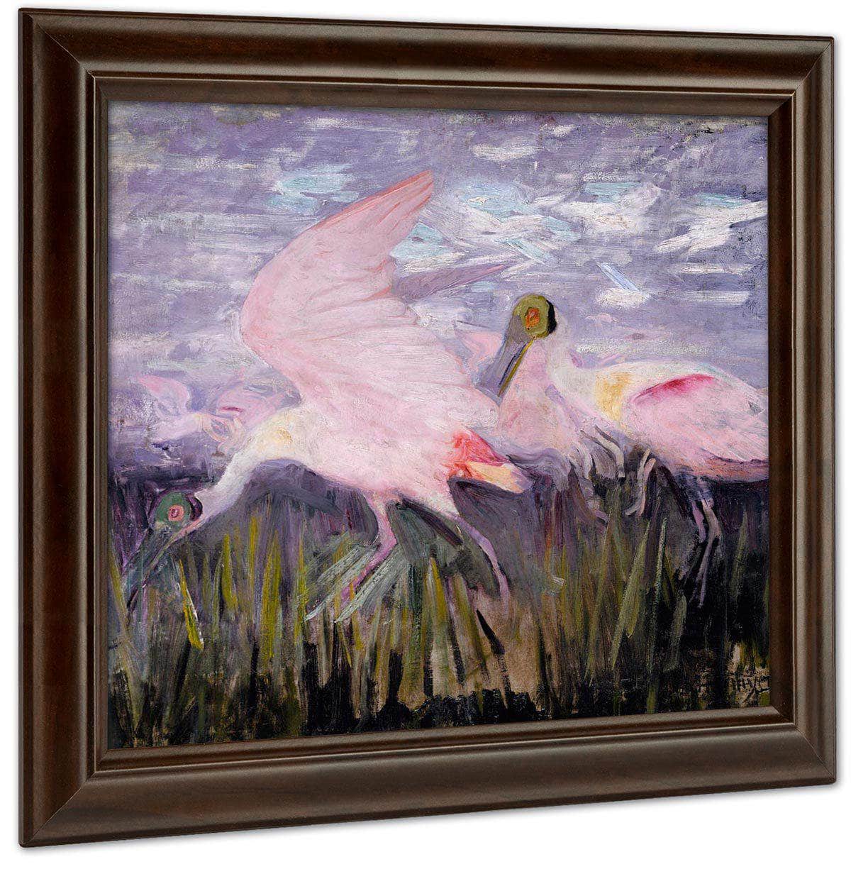 Roseate Spoonbills, Study For Book Concealing Coloration In The Animal Kingdom By Abbott Handerson Thayer Fine Art Print