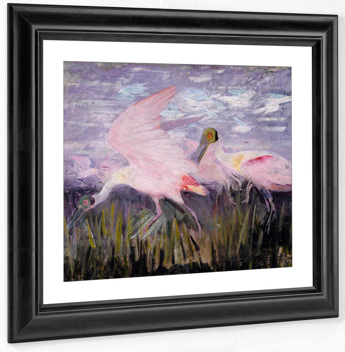 Roseate Spoonbills, Study For Book Concealing Coloration In The Animal Kingdom By Abbott Handerson Thayer Fine Art Print