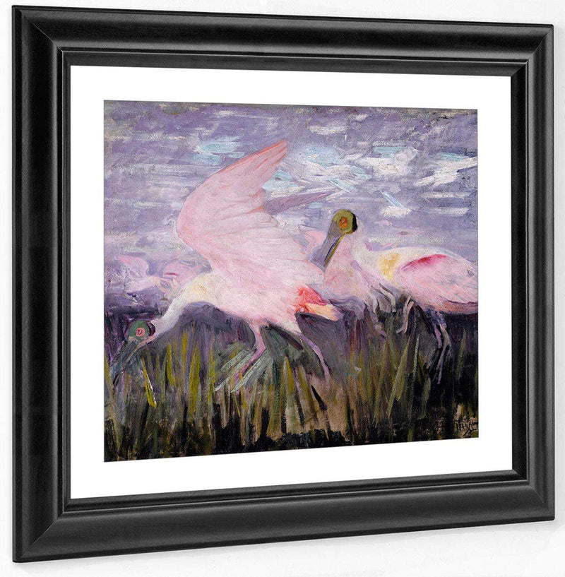 Roseate Spoonbills, Study For Book Concealing Coloration In The Animal Kingdom By Abbott Handerson Thayer Fine Art Print