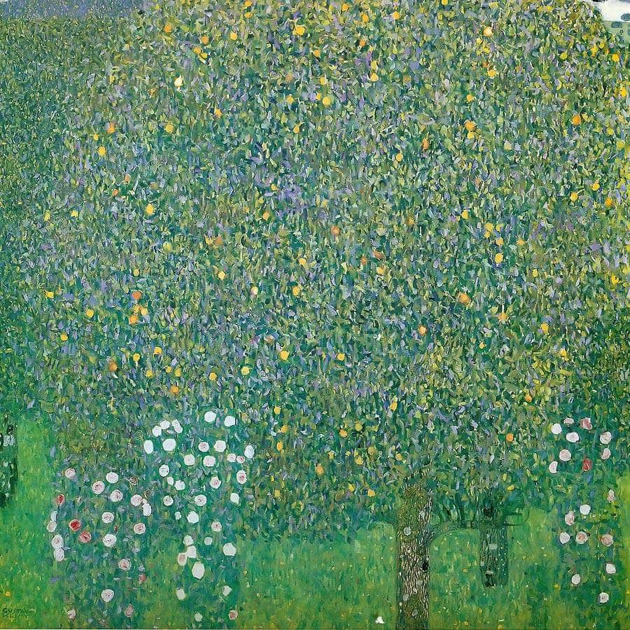 Ross In Trees, 1904 By Gustav Klimt Fine Art Print