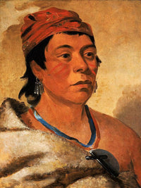 Round Island, A Warrior By George Catlin Fine Art Print