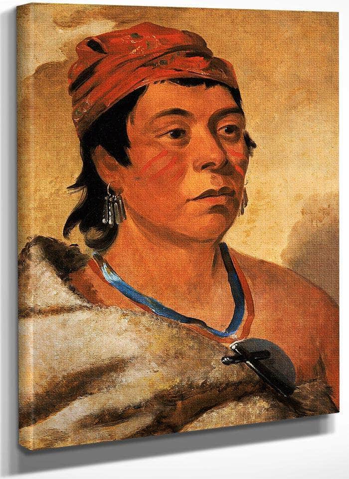 Round Island, A Warrior By George Catlin Fine Art Print