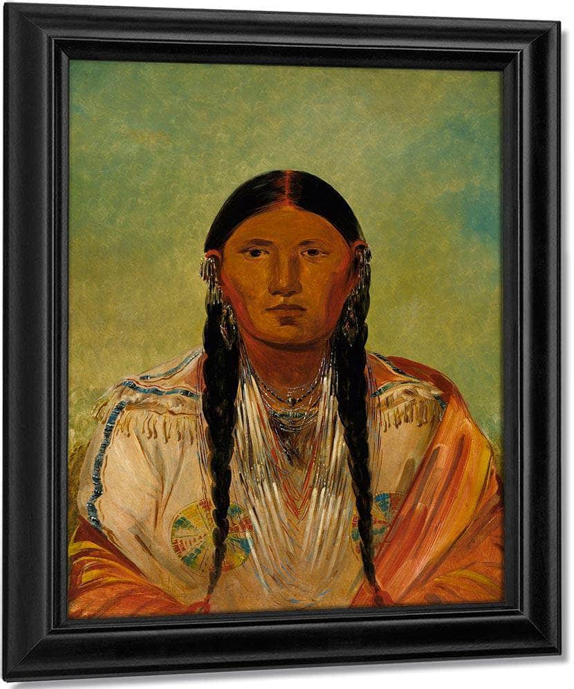 Ru Ton Wee Me, Pigeon On The Wing By George Catlin Fine Art Print