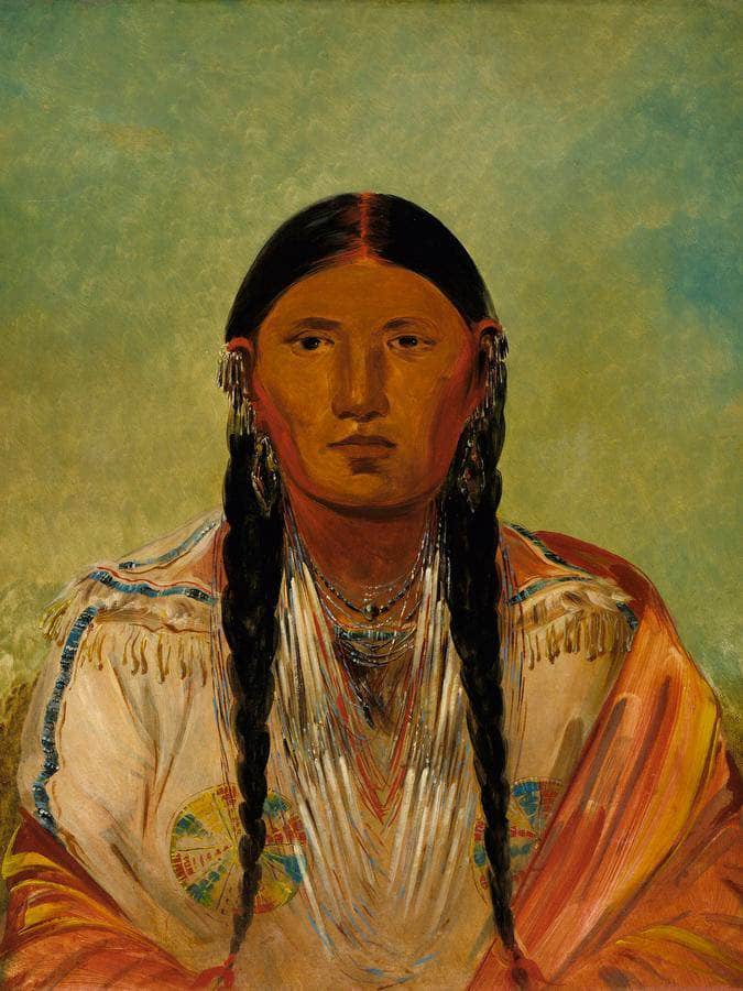 Ru Ton Wee Me, Pigeon On The Wing By George Catlin Fine Art Print