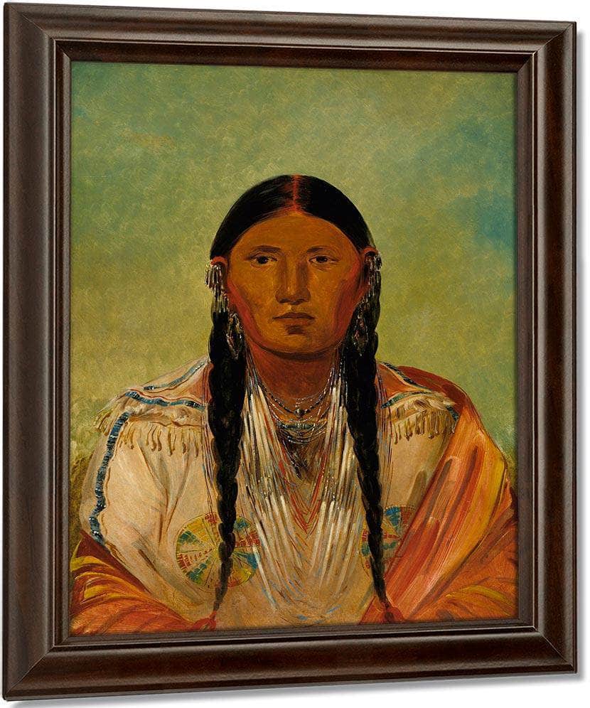 Ru Ton Wee Me, Pigeon On The Wing By George Catlin Fine Art Print