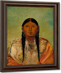 Ru Ton Wee Me, Pigeon On The Wing By George Catlin Fine Art Print