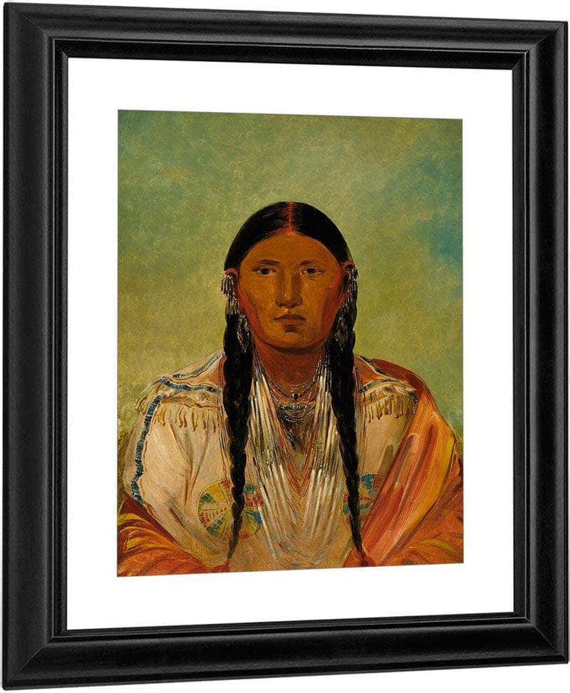 Ru Ton Wee Me, Pigeon On The Wing By George Catlin Fine Art Print