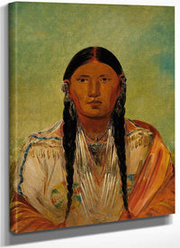 Ru Ton Wee Me, Pigeon On The Wing By George Catlin Fine Art Print