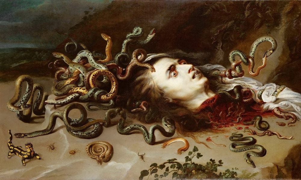 Rubens Medusa By Peter Paul Rubens Fine Art Print