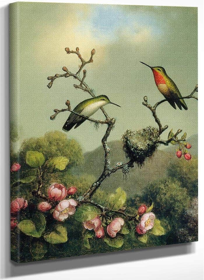 Ruby Throat Of North America By Martin Johnson Heade Fine Art Print
