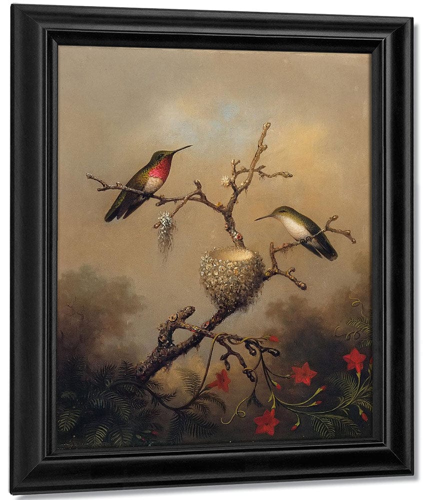 Ruby Throated Hummingbird By Martin Johnson Heade Fine Art Print