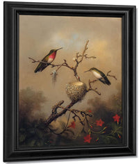 Ruby Throated Hummingbird By Martin Johnson Heade Fine Art Print