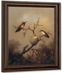 Ruby Throated Hummingbird By Martin Johnson Heade Fine Art Print