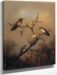 Ruby Throated Hummingbird By Martin Johnson Heade Fine Art Print