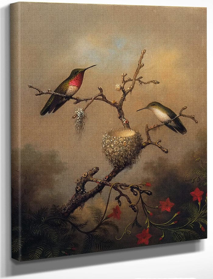 Ruby Throated Hummingbird By Martin Johnson Heade Fine Art Print