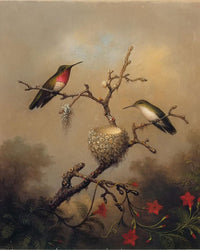 Ruby Throated Hummingbird By Martin Johnson Heade Fine Art Print