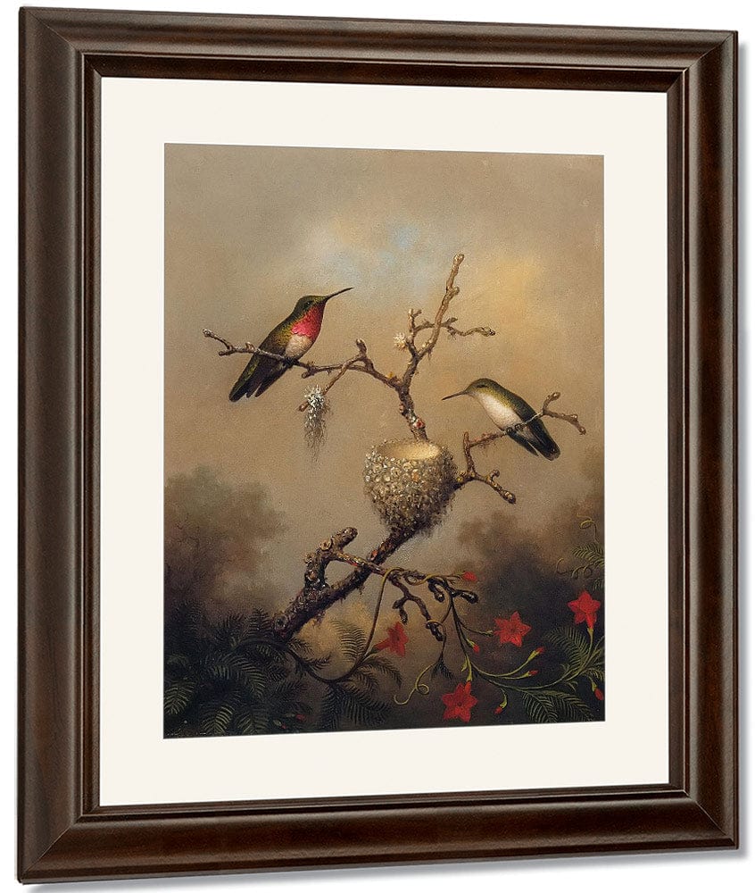 Ruby Throated Hummingbird By Martin Johnson Heade Fine Art Print