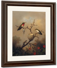 Ruby Throated Hummingbird By Martin Johnson Heade Fine Art Print
