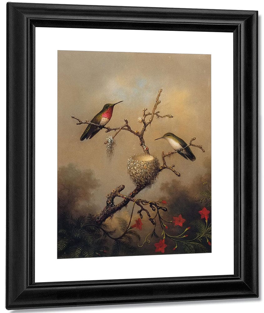 Ruby Throated Hummingbird By Martin Johnson Heade Fine Art Print