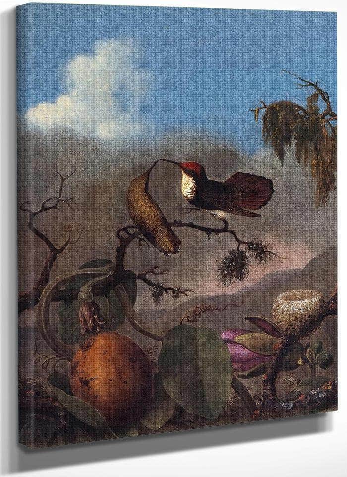 Ruby Topaz By Martin Johnson Heade Fine Art Print