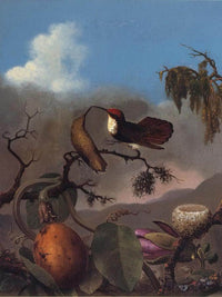 Ruby Topaz By Martin Johnson Heade Fine Art Print