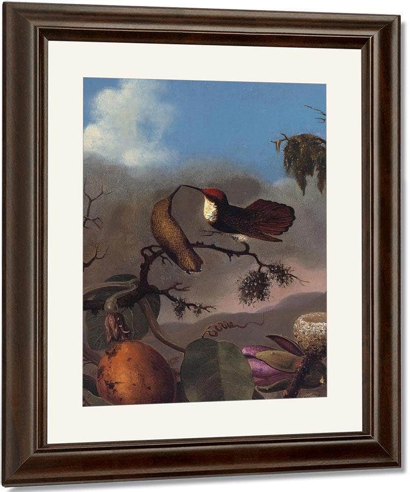 Ruby Topaz By Martin Johnson Heade Fine Art Print