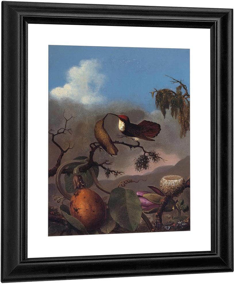 Ruby Topaz By Martin Johnson Heade Fine Art Print