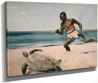 Rum Cay By Winslow Homer Fine Art Print