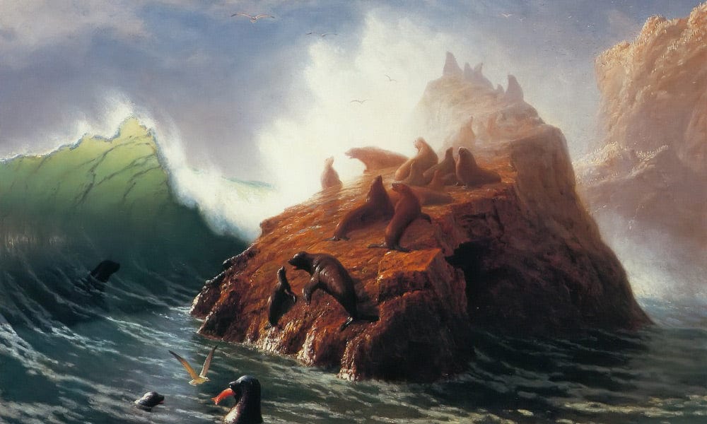 Seal Rock By Albert Bierstadt Fine Art Print