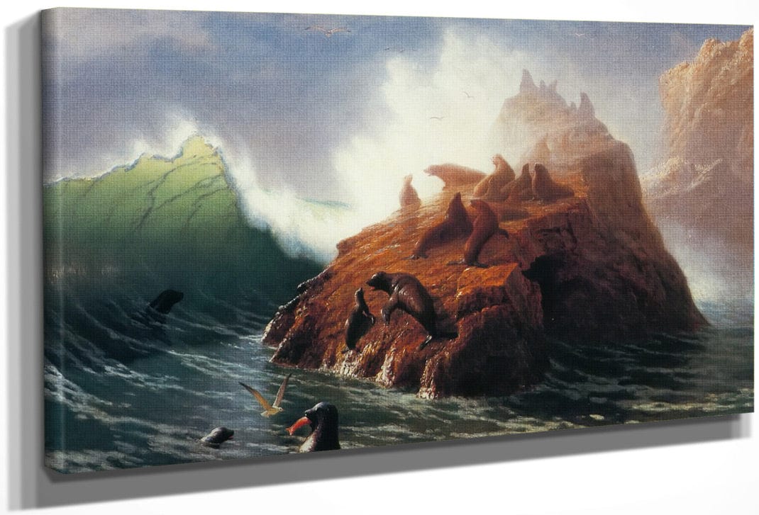 Seal Rock By Albert Bierstadt Fine Art Print